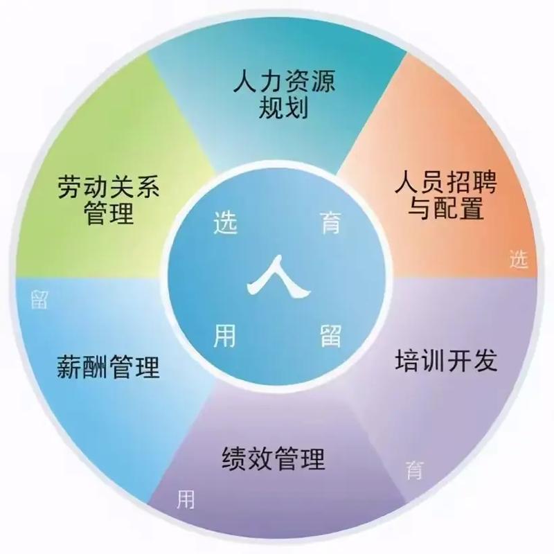 小公司如何做好人力资源管理？从重视起步，用工具提效